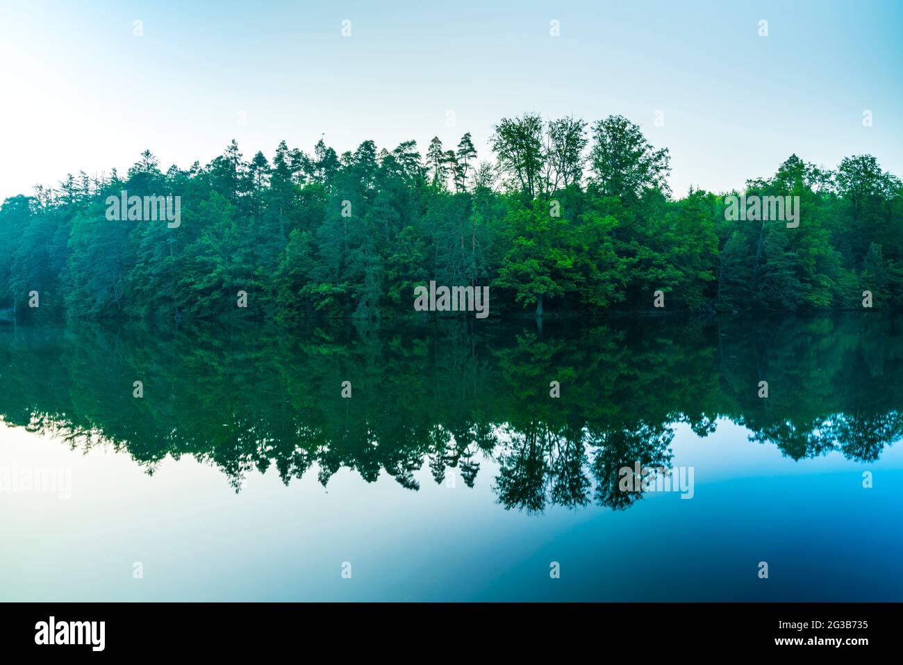 Germania, riflesso mistico di alberi verdi della natura foresta paesaggio in acque silenziose vetrose del lago di Baerensee nel parco pubblico della città di stoccarda a su Foto Stock