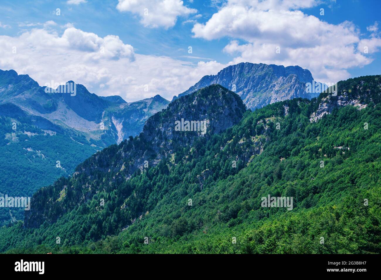 Paesaggio estivo - montagne albanesi, coperte di alberi verdi e cielo blu Foto Stock