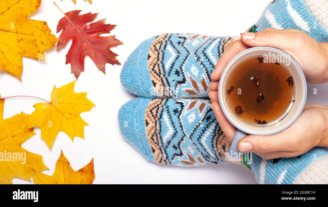 ragazza che tiene una tazza di tè nelle sue mani in calze calde, giorno d'autunno. Foto Stock