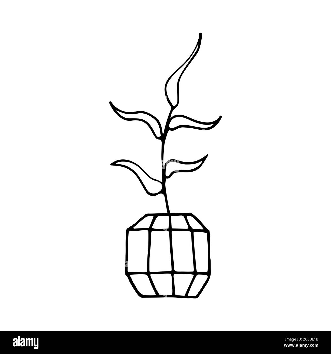 Doodle pianta in una pentola sfaccettata. Foglie disegnate a mano con vaso di fiori di polietilene. Contorno nero di una pianta domestica isolata su uno sfondo bianco. Carino scandinavo Illustrazione Vettoriale