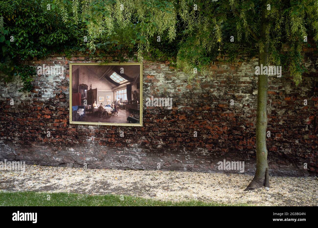 L'albero di Laburnam sovrasta l'invecchiamento della parete di mattoni e copia della pittura dell'artista in un angolo tranquillo dei giardini pubblici a Beverley, Regno Unito. Foto Stock