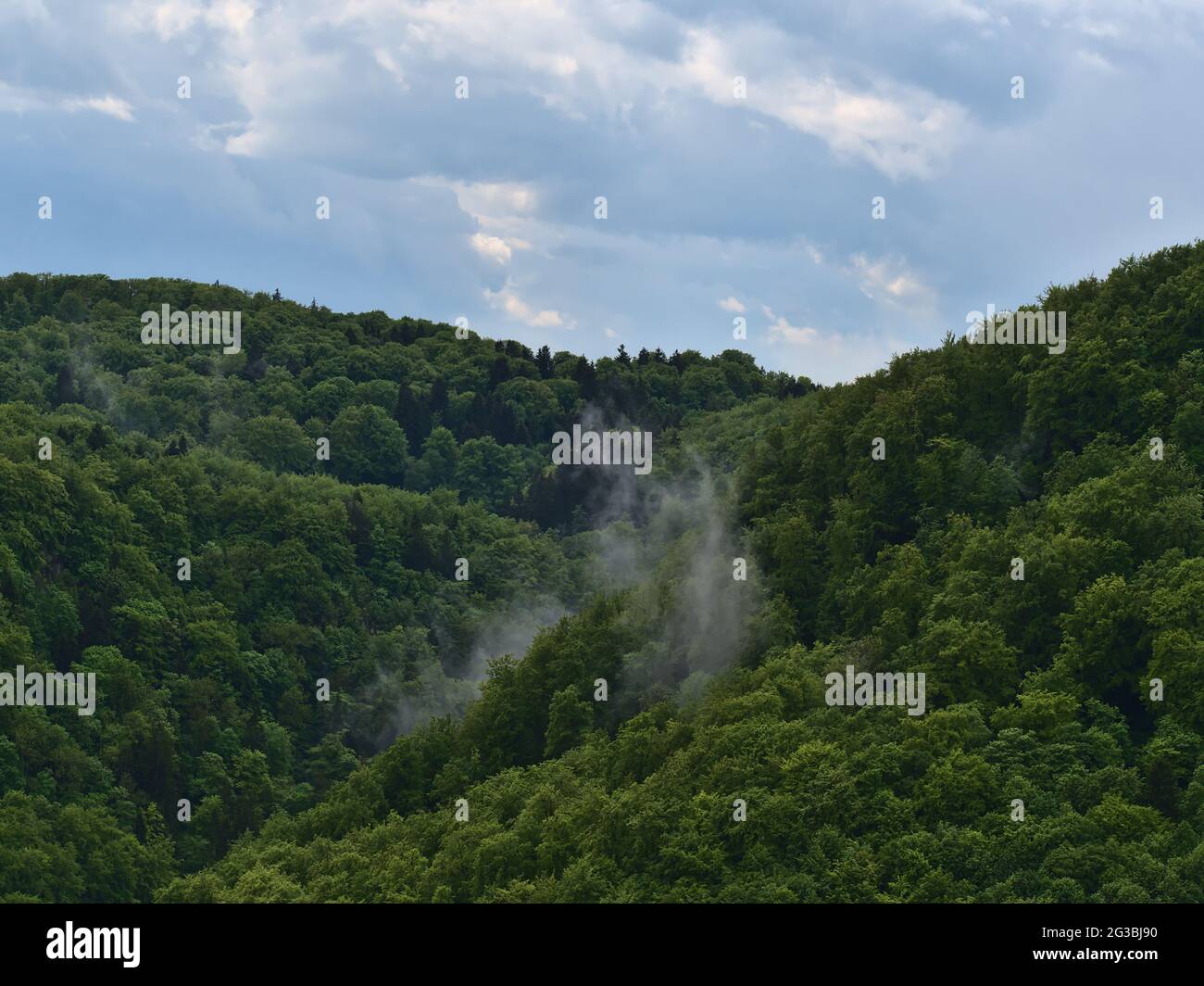 Paesaggio forestale con aria umida e nebbia in aumento dopo forte pioggia estiva sulle colline dell'Alb Svevo vicino a Lichtenstein, Germania con alberi verdi. Foto Stock