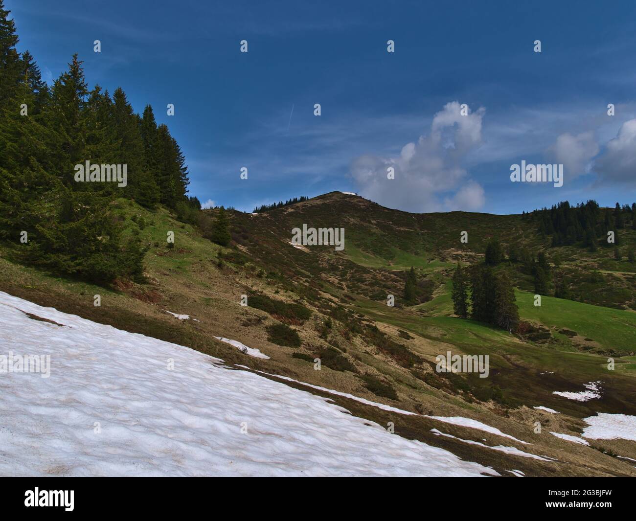 Paesaggio montano nelle Alpi Allgeau nei pressi di Oberstdorf, Germania con la cima del Corno Riedberger (1,787 m) in giornata di sole in estate con neve. Foto Stock