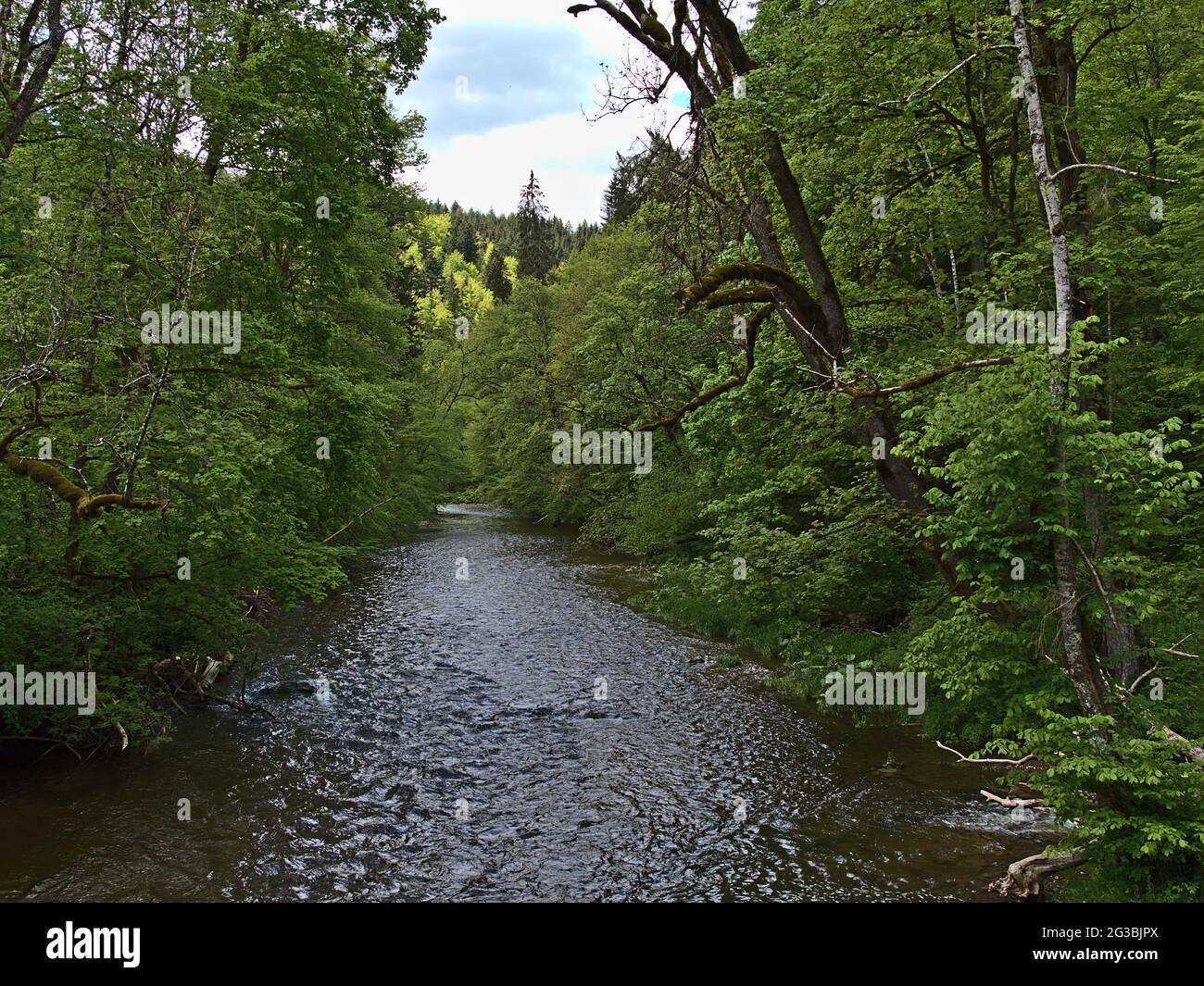 Vista dell'idilliaca Gola di Wutach ('Wutachschlucht'), una popolare destinazione turistica nella Foresta Nera, in Germania, con il fiume che scorre circondato da una fitta foresta. Foto Stock