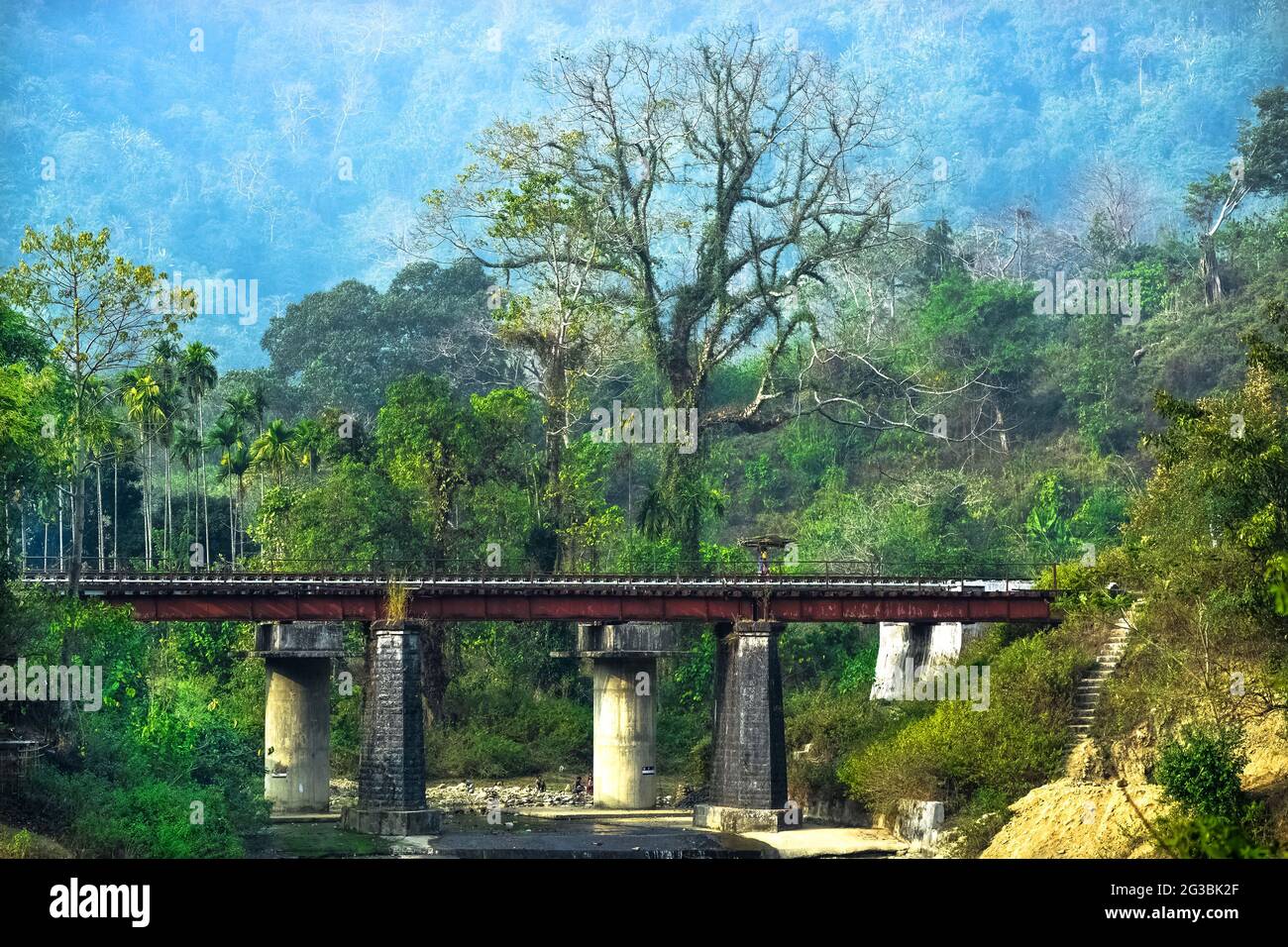 Un vecchio ponte ferroviario nel mezzo della natura con la foresta verde e l'area collinare in Jatinga Assam India Foto Stock