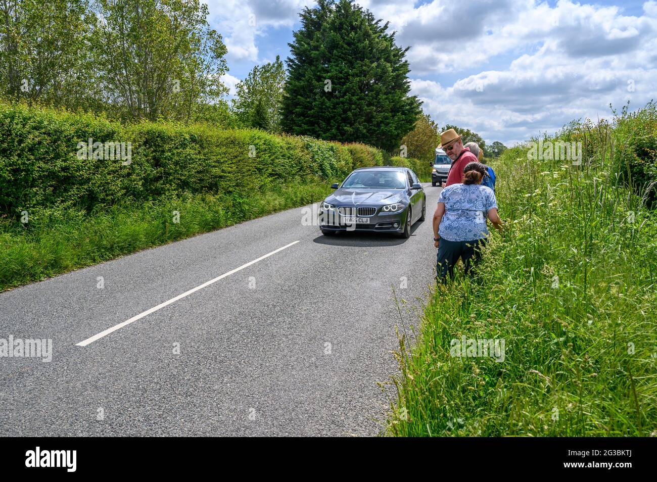 Un gruppo di rambler che si ergono sulla riva dell'erba mentre il traffico passa lungo South Road tra Plumpton Green e South Chailey, East Sussex, Engl Foto Stock