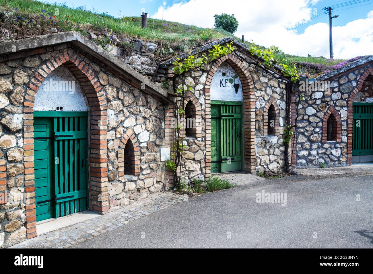 Cantine di vino nel villaggio di Kobyli, Moravia meridionale, Repubblica Ceca Foto Stock