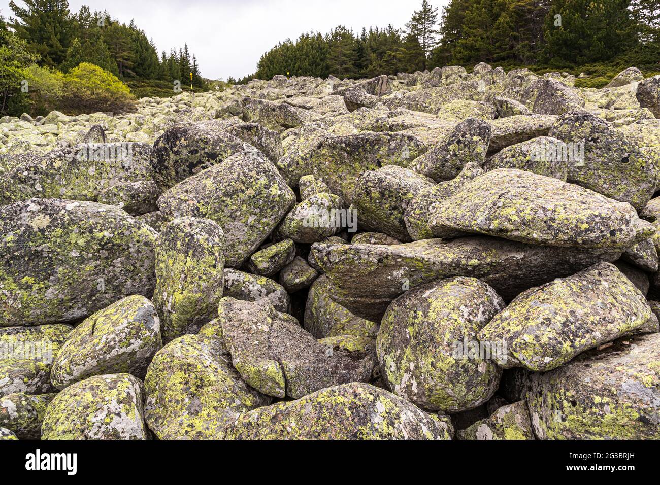 Tipici dei Monti Vitosha sopra Sofia sono le enormi pietre delle morene di terra, la Bulgaria Foto Stock