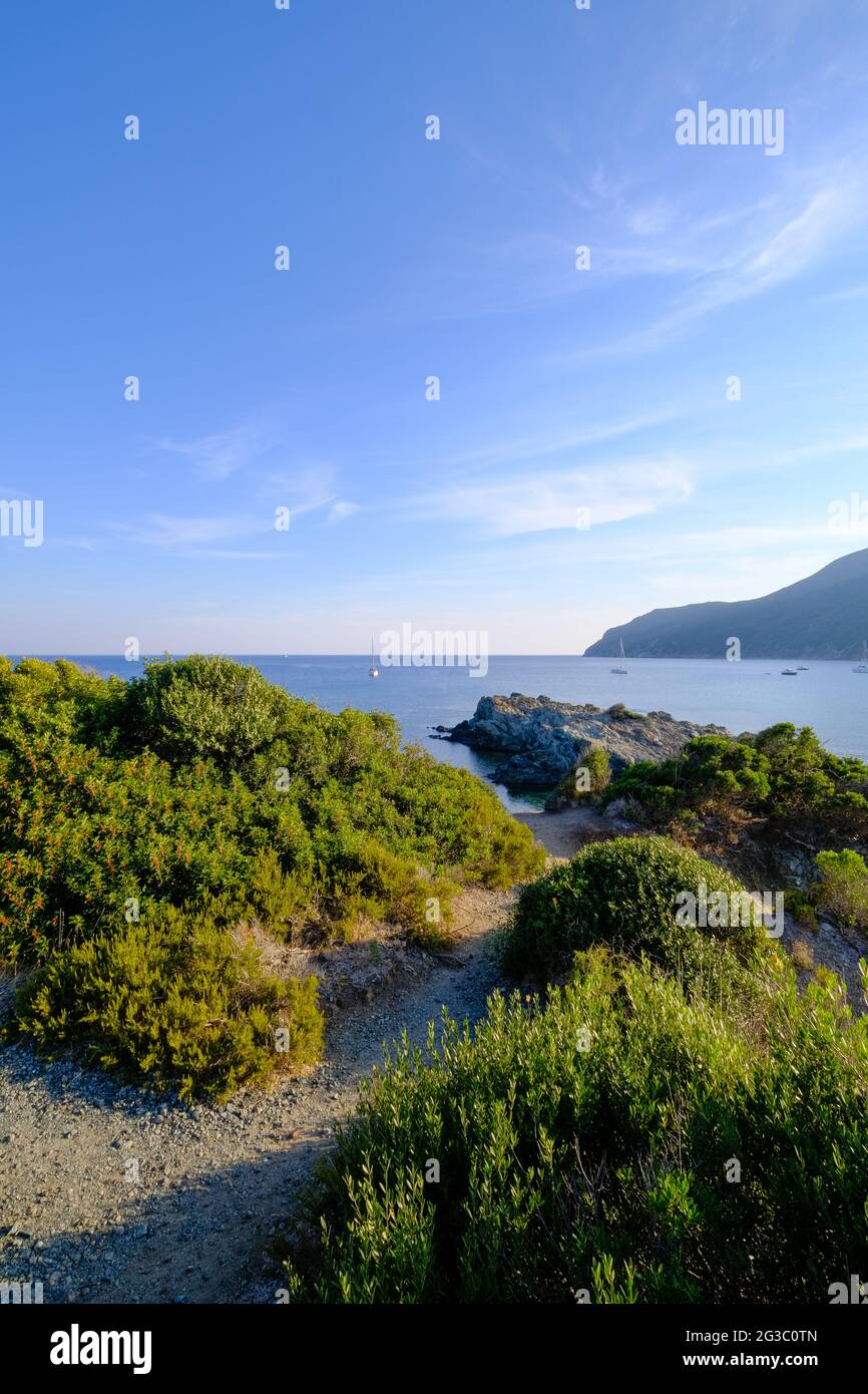 Isola d'Elba Foto Stock