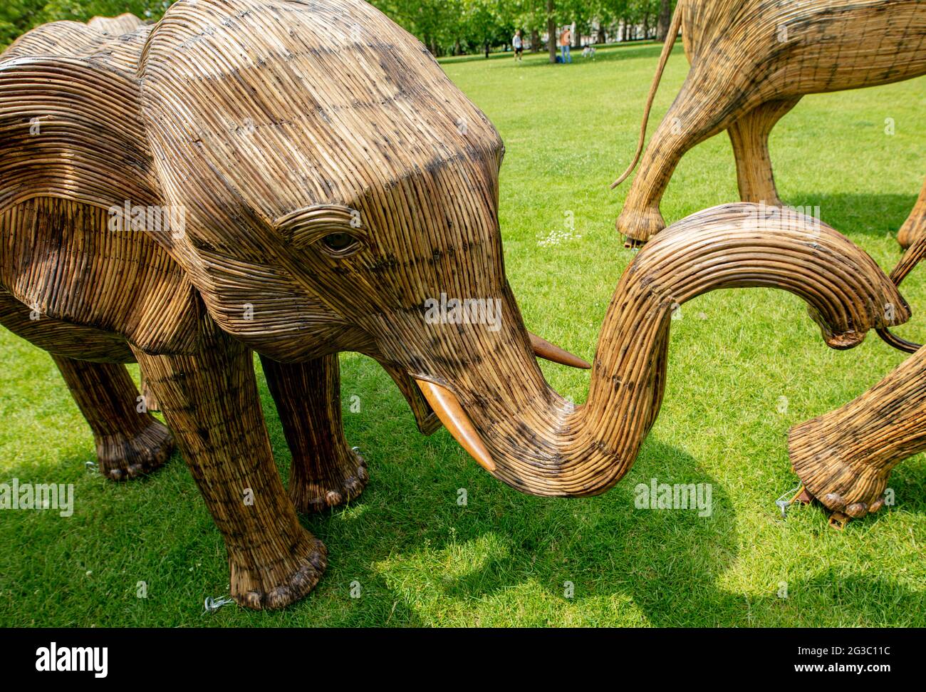 Sculture di elefanti, Green Park, Londra per la mostra della coesistenza, allestita dalla Famiglia degli Elefanti e dal collettivo reale degli Elefanti Foto Stock