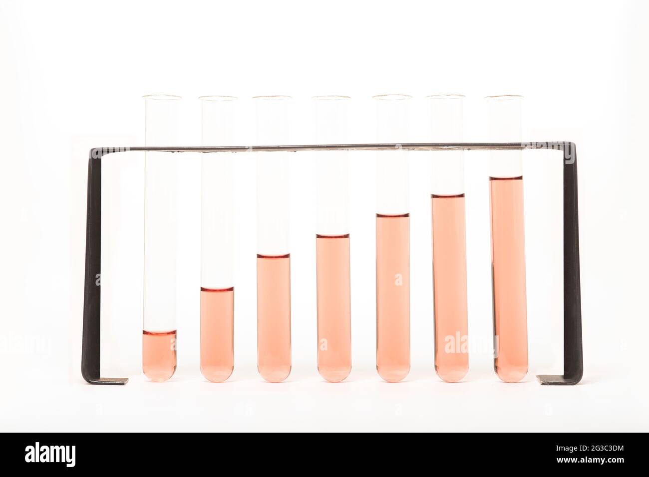 Provette in un rack. Rappresentazione grafica di un grafico a barre, statistiche, dati scientifici, medici, biologici, laboratorio biomedico. Foto Stock