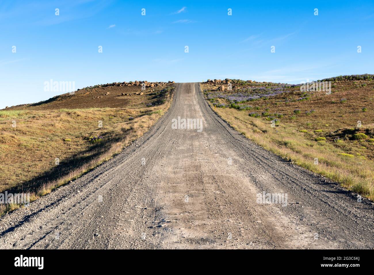 Strada sterrata che salirà su un pendio in un paesaggio arido nelle alture dell'Islanda sotto il cielo blu in estate Foto Stock