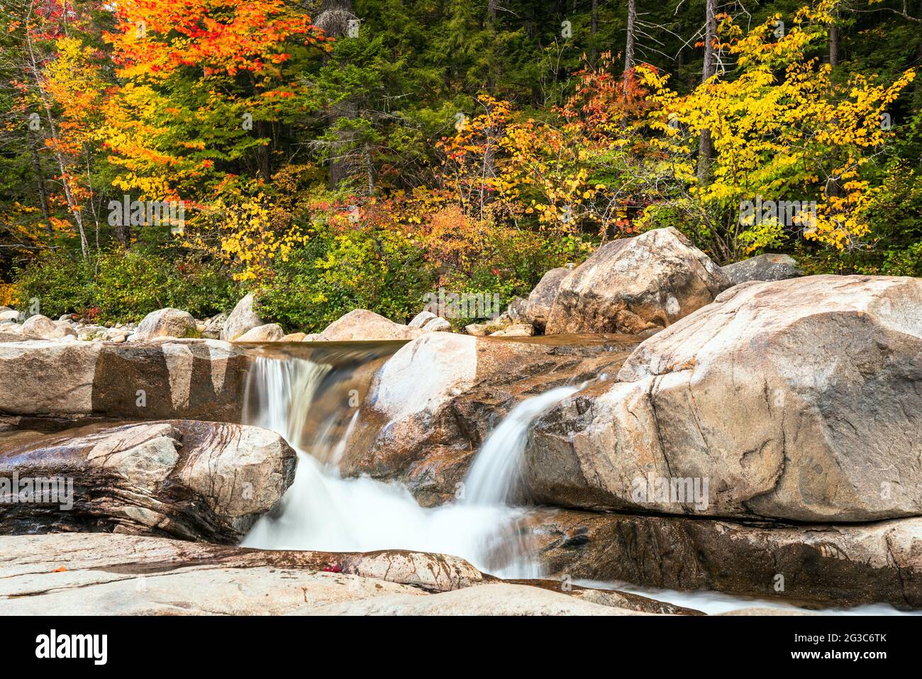 Bellissima cascata in una foresta in autunno. Colori autunnali sullo sfondo. Foto Stock