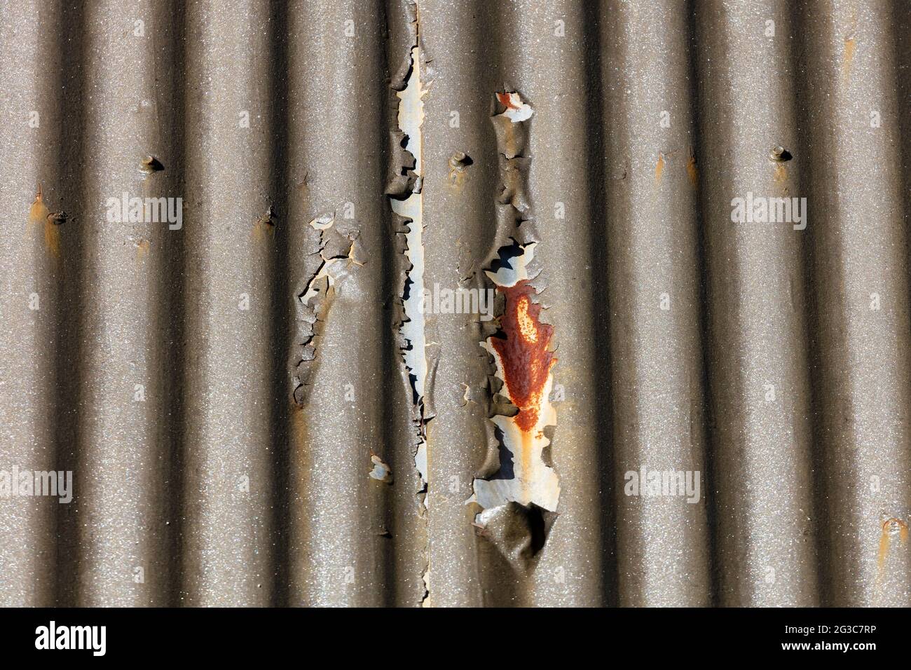 Fotografia di vernice marrone che si stacca da un tetto di ferro ondulato a causa dell'esposizione all'ambiente Foto Stock
