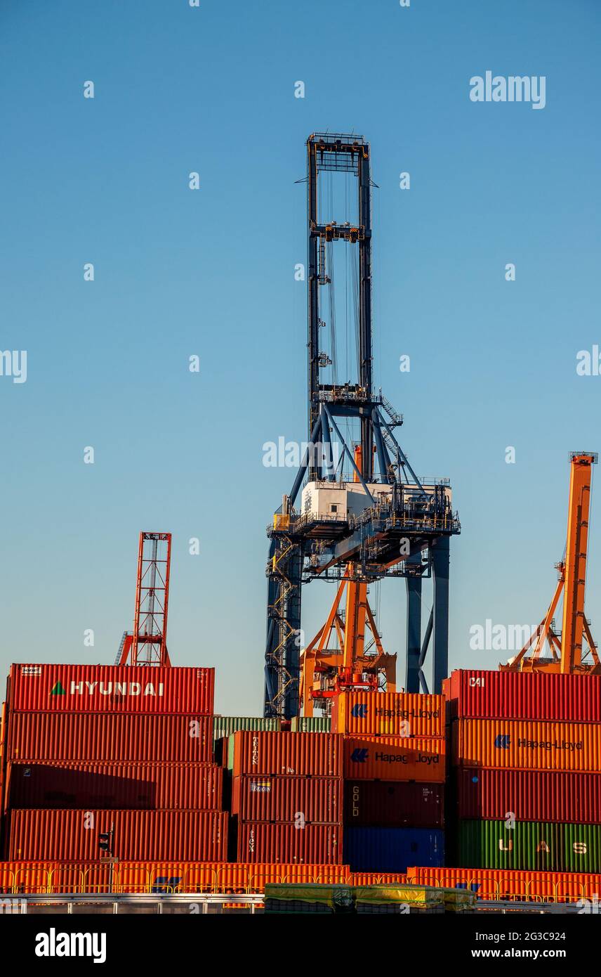 Container e gru nel porto di Gdynia in Polonia Foto Stock