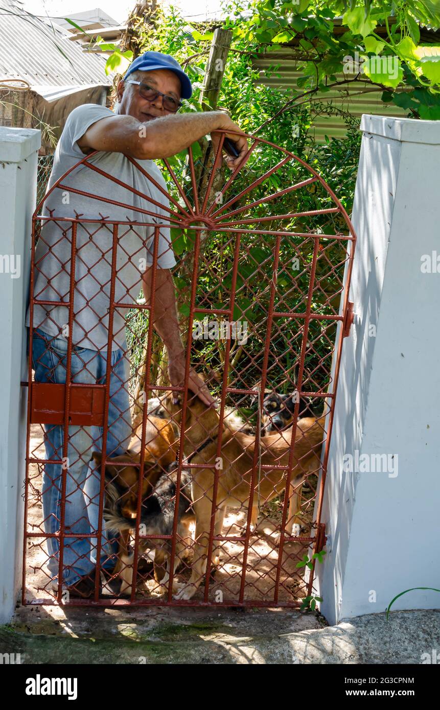 Uomo al cancello con una mano che tocca i suoi cani Foto Stock