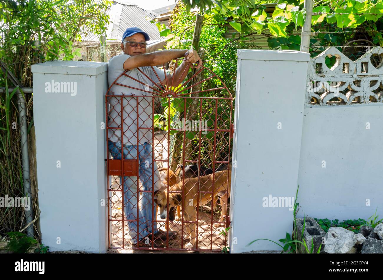 Uomo e cani alla porta Foto Stock