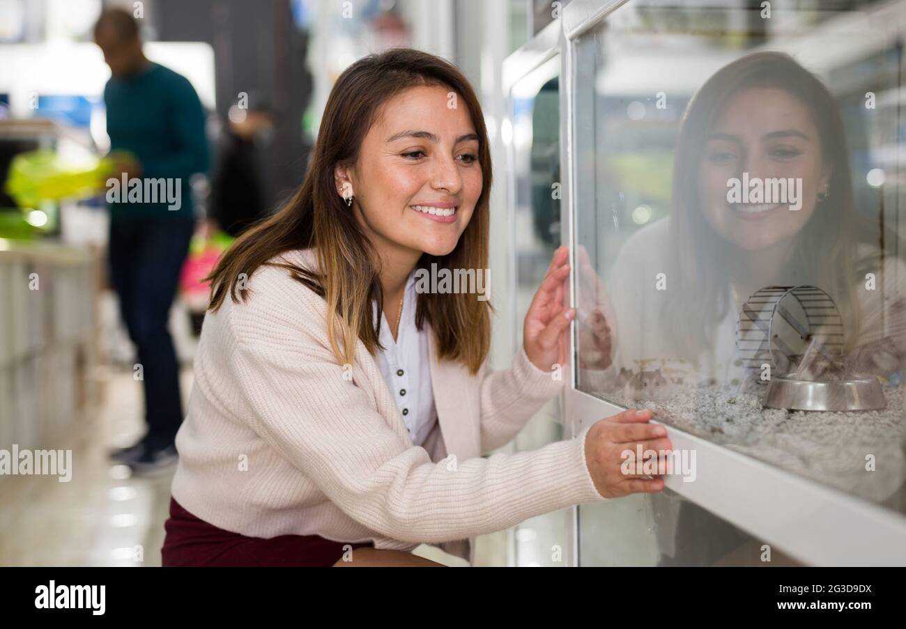 Donna che visita negozio di animali in cerca di criceto Foto Stock