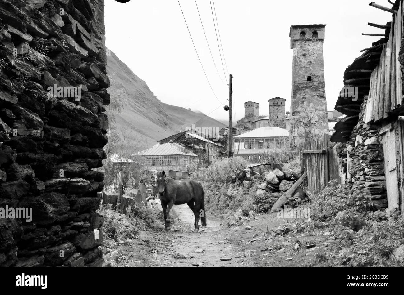 Un cavallo su una strada a Ushguli, Svaneti, Georgia Foto Stock