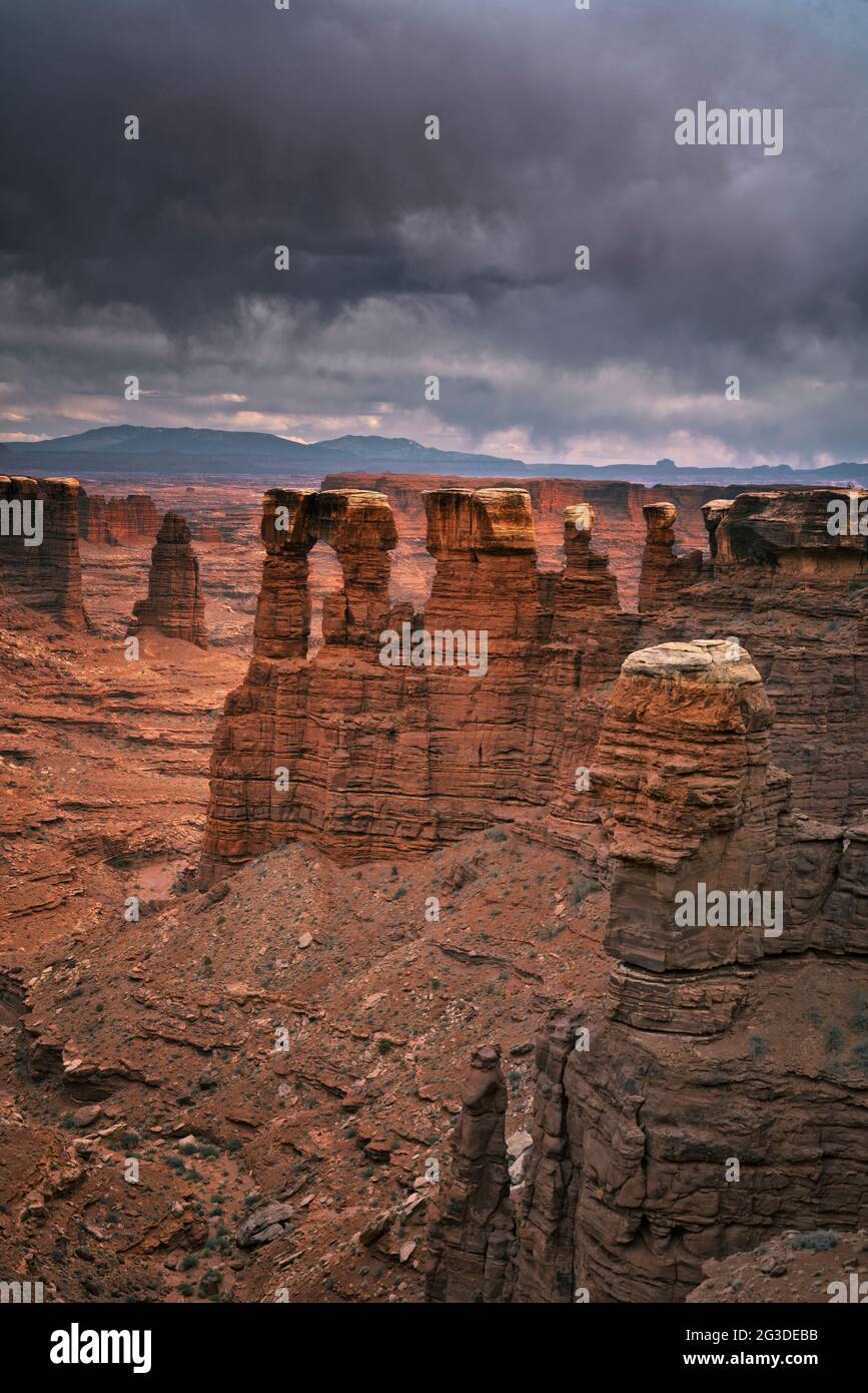 La tempesta serale si costruisce sui torreggianti monoliti di arenaria al Monument Basin lungo la remota White Rim Road nel Canyonlands National dello Utah Foto Stock