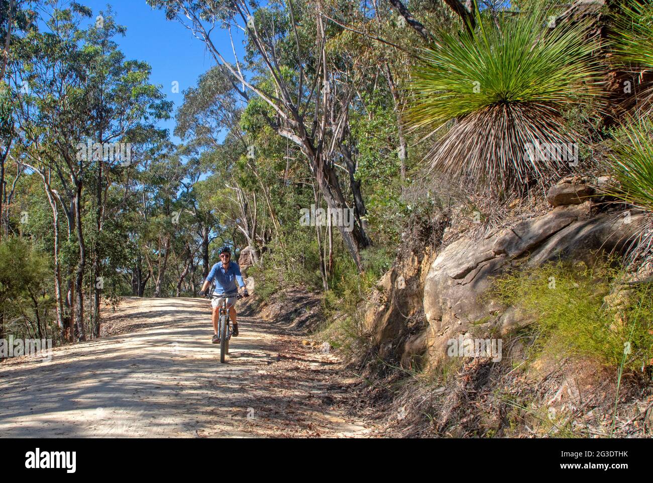 Pedalando sul sentiero dei vigili del fuoco Woodford-Oaks nelle Blue Mountains Foto Stock