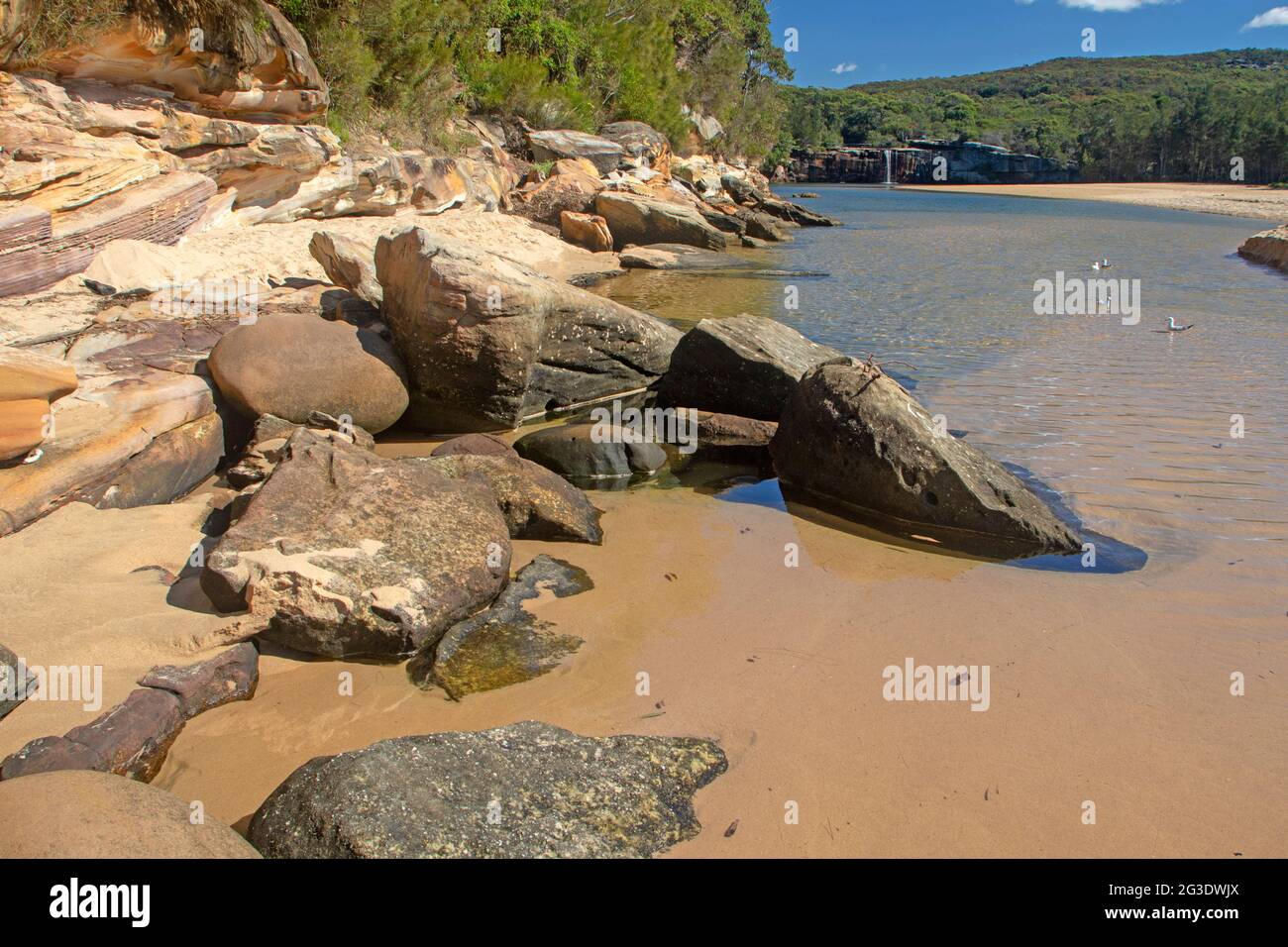 Spiaggia di Wattamolla, Parco Nazionale reale Foto Stock