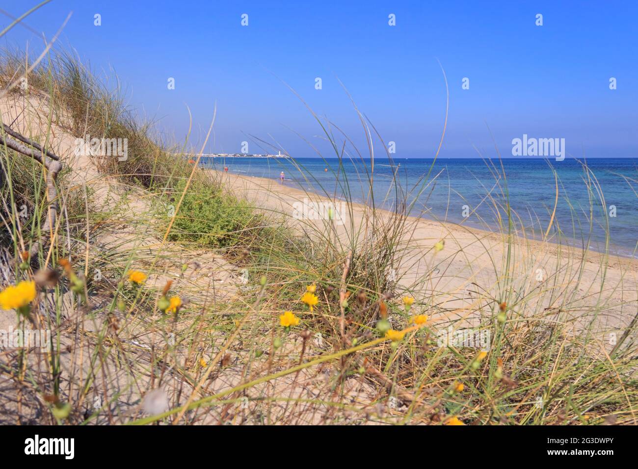 Spiaggia di Torre Canne in Puglia: In lontananza il faro bianco della città di Torre Canne. Foto Stock