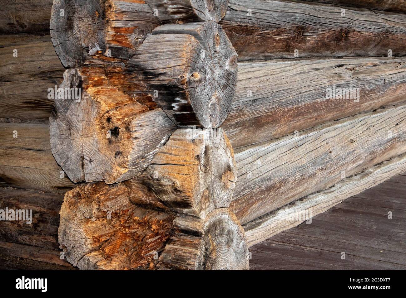 Angolo di connessione di tronchi in architettura russa tradizionale di case di campagna Foto Stock