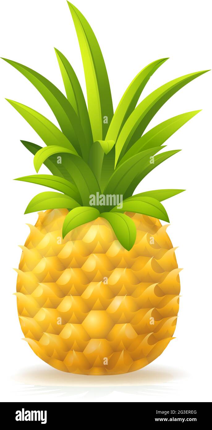 Ananas frutta Cartoon Emoji icona Illustrazione Vettoriale