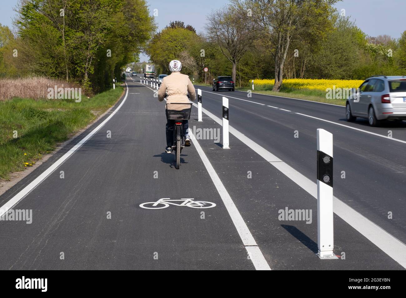 Ciclisti sulla pista ciclabile, zona Ruhr, Nord Reno-Westfalia, Germania, Europa Foto Stock