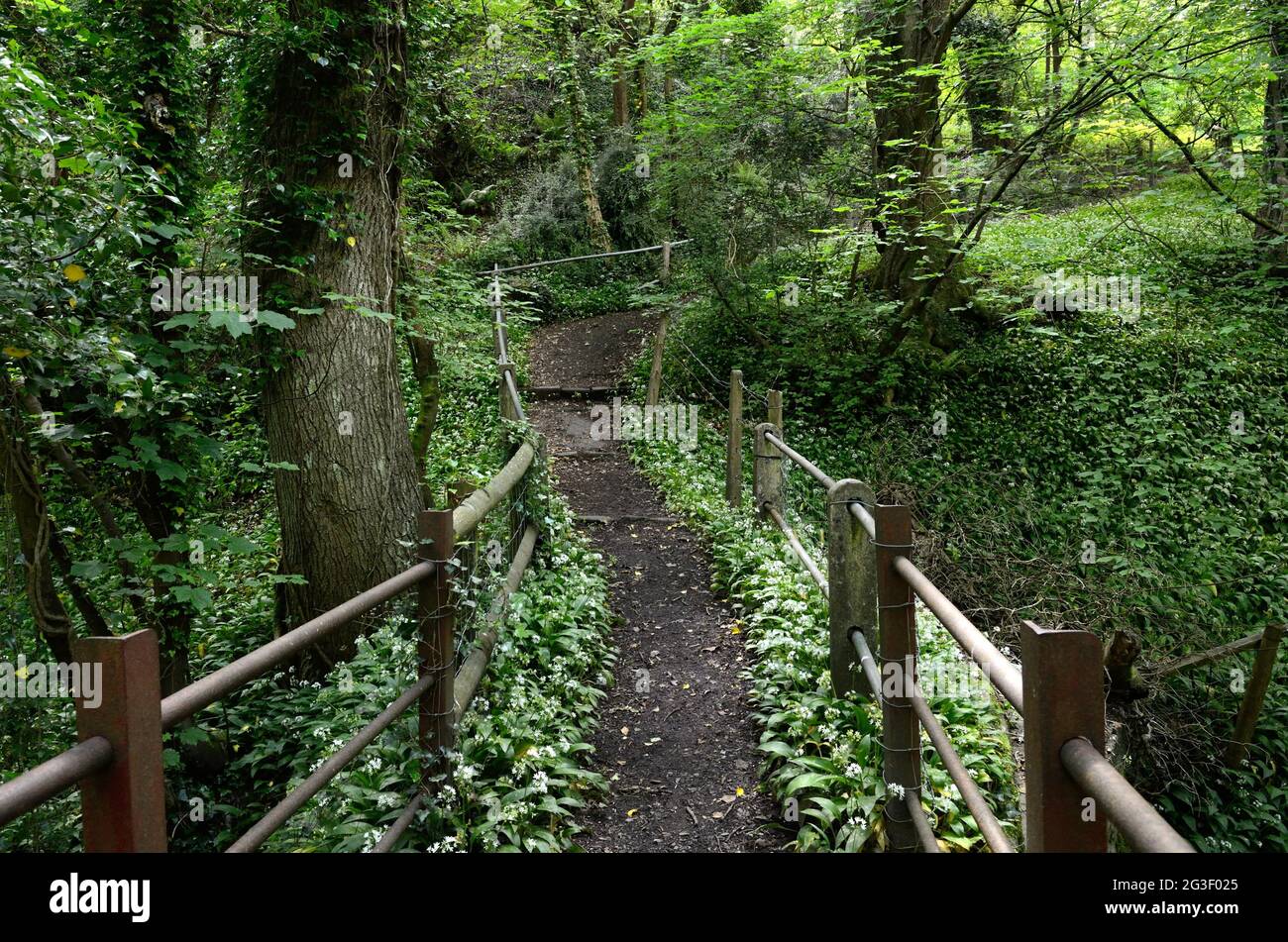 Vecchio ponte rustico che attraversa il fiume Clydach su una passeggiata boschiva Clydach Gorge Brecon Beacons National Park Monmouthshire Wales UK Foto Stock
