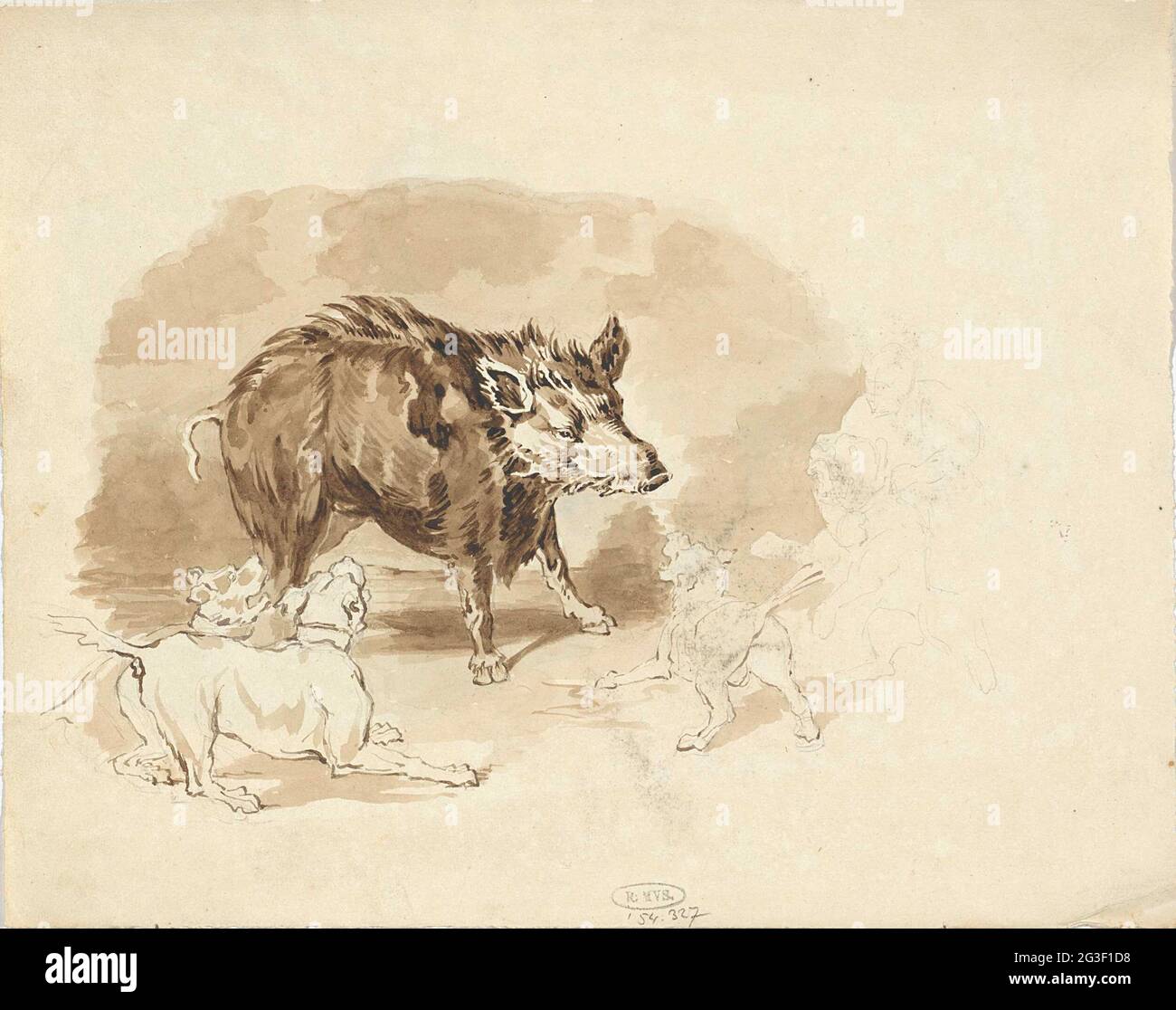 Cinghiale attaccato da cani da caccia. . Foto Stock