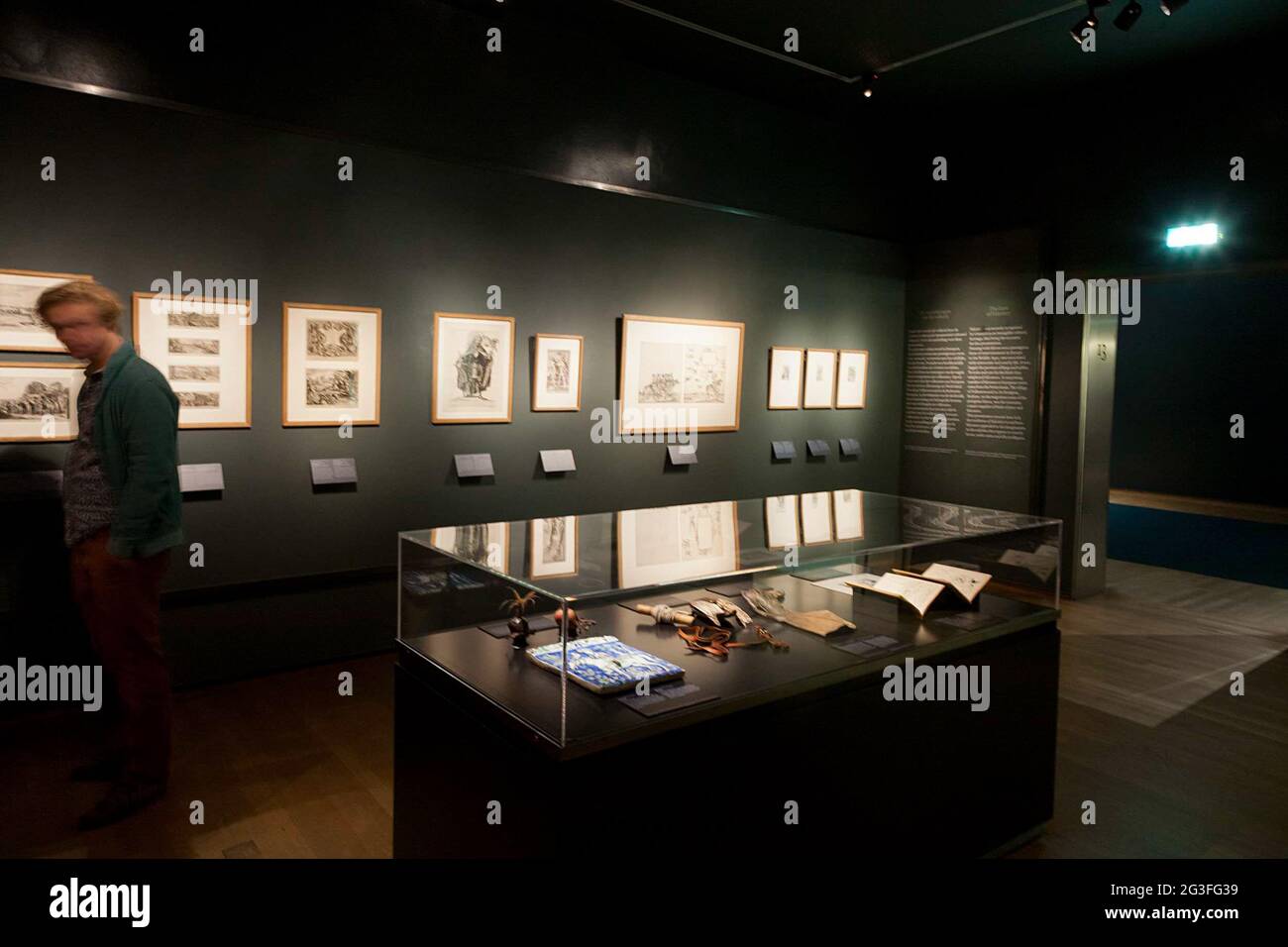 Visitatore nella sala dell'ala Philips della Stampa le tentazioni della Falconeria; Stampa mostra le tentazioni della falconeria. . Foto Stock