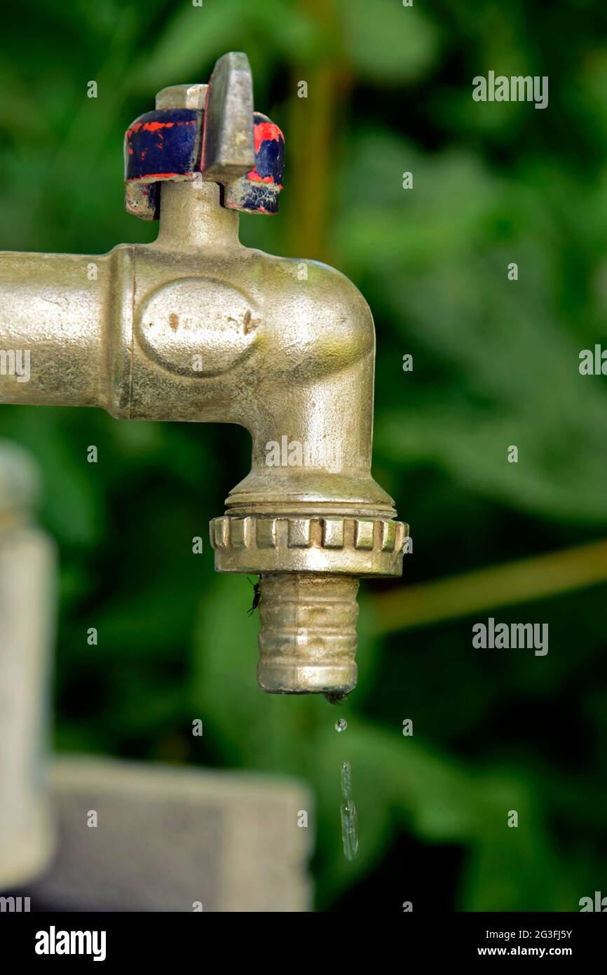 Perdite lievi, rubinetto d'acqua cromato su sfondo verde fuzzy, vista in primo piano laterale. Foto Stock