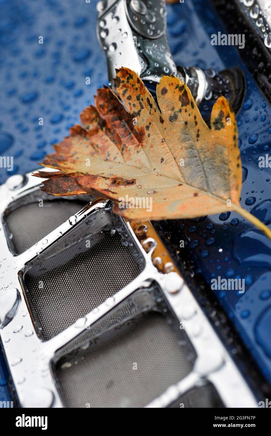 Foglia d'autunno sulla griglia presa d'aria di MGB GT vintage coperto da pioggia Foto Stock