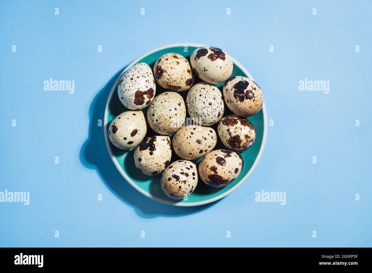 Posa piatta di un uovo di quaglia in un piatto verde su sfondo blu Foto Stock