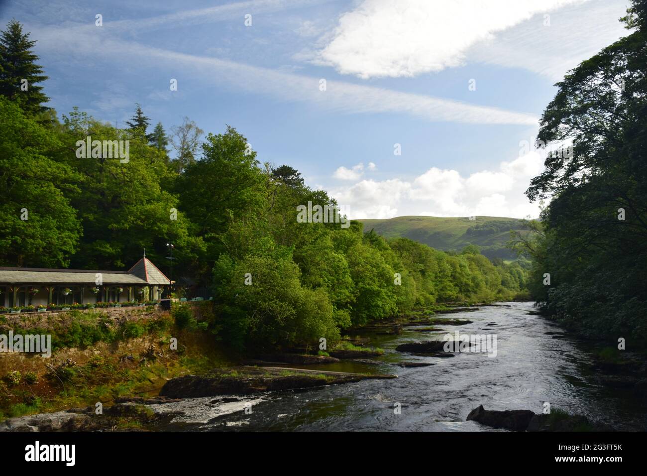 Scene estive sul fiume Dee vicino a Llangollen, Denbighshire. Mostra il bestiame al bordo delle acque, il ponte a catena e la linea costiera. Foto Stock