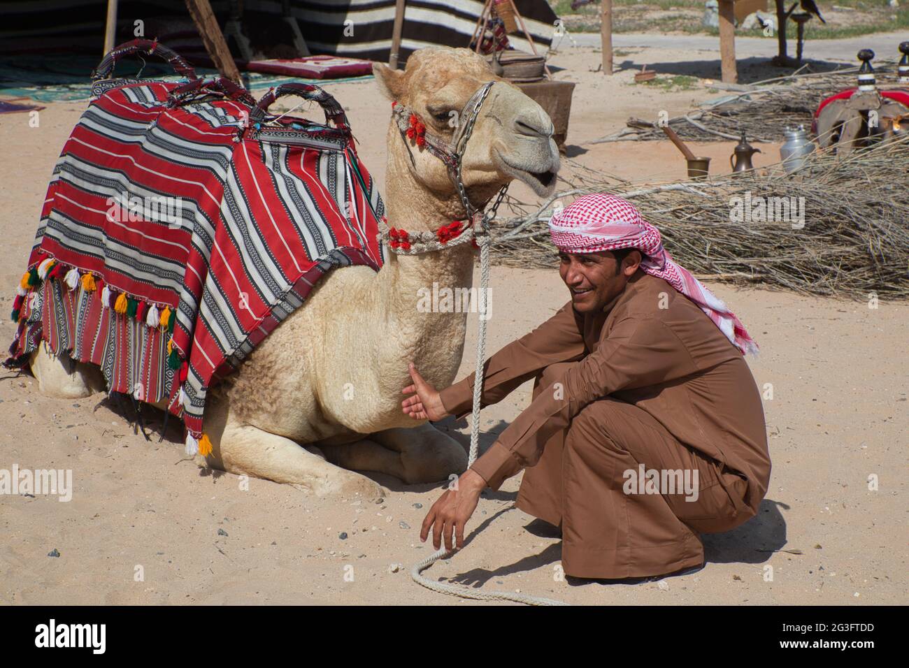Un proprietario arabo di cammello che indossa un turbante e il suo cammello che riposano entrambi nel vecchio quartiere della città di Dubai, gli Emirati Arabi Uniti Foto Stock