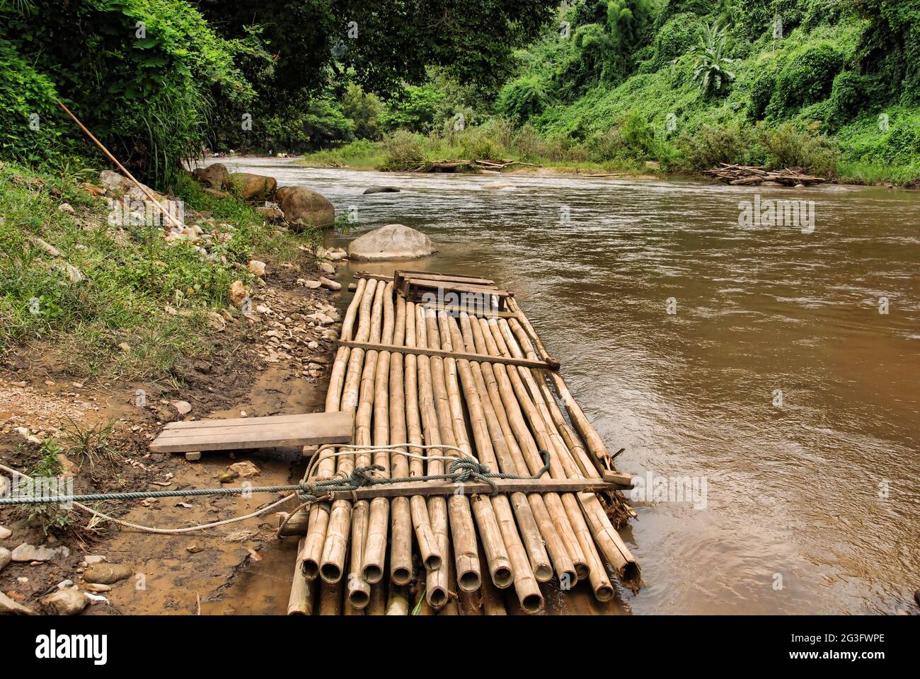 Campagna di Changmai, Thailandia Foto Stock