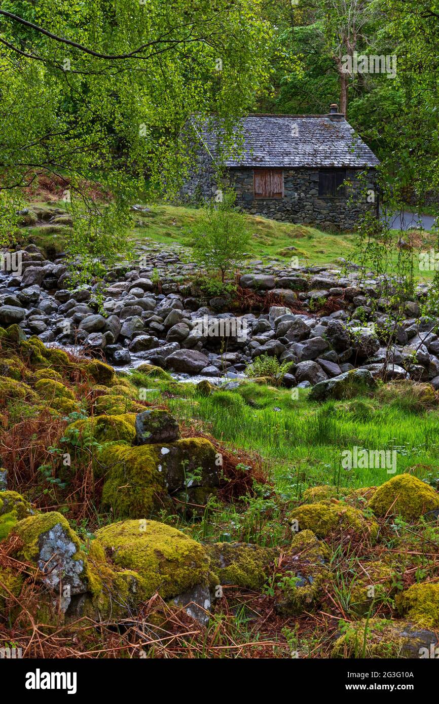 Rocce ricoperte di muschio lungo Barrow Beck con Bark House Mountain base sullo sfondo, Lake District, Inghilterra Foto Stock