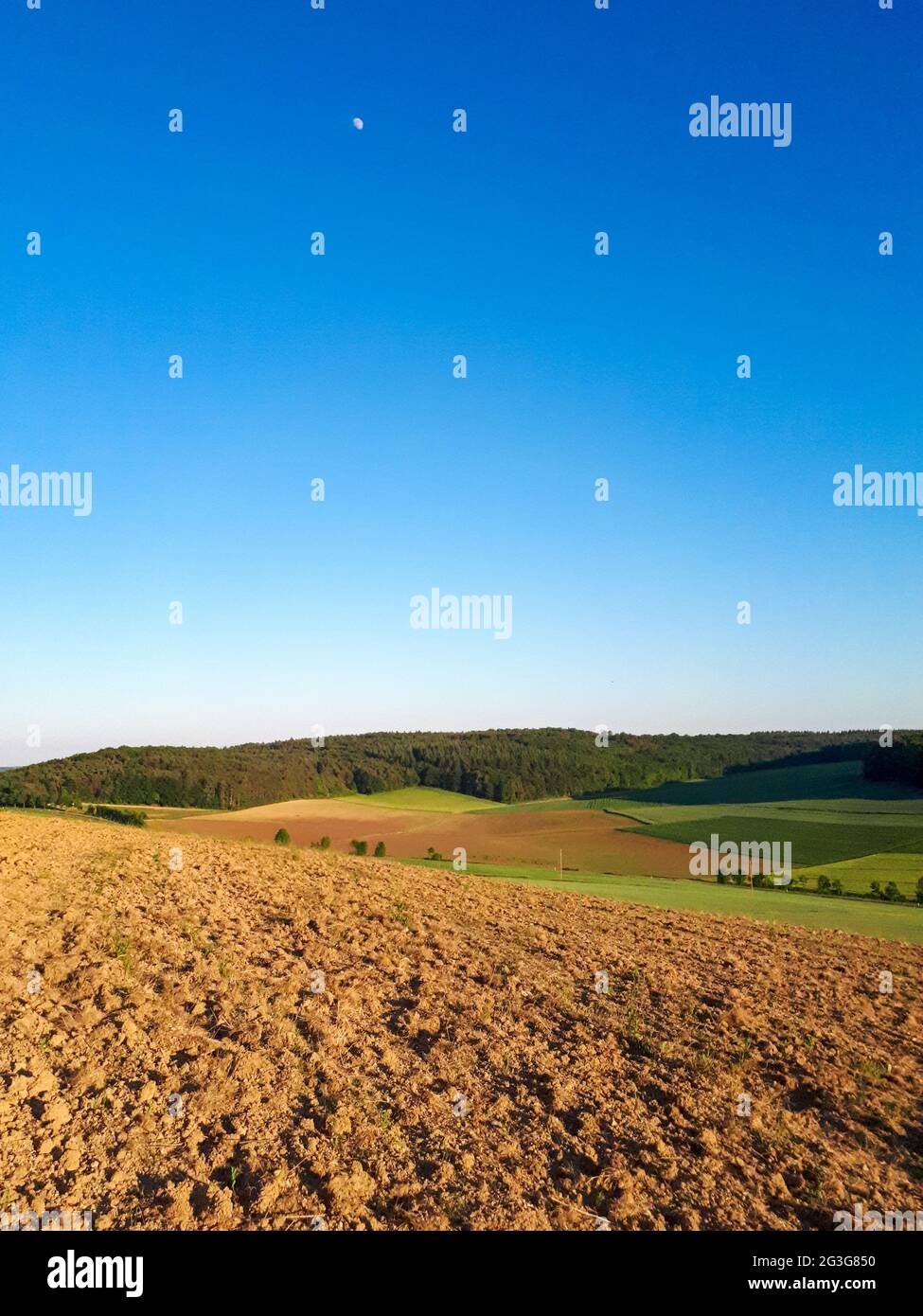 Paesaggio agricolo panoramico con colline ondulate e cielo azzurro limpido a Taubertal, Germania Foto Stock