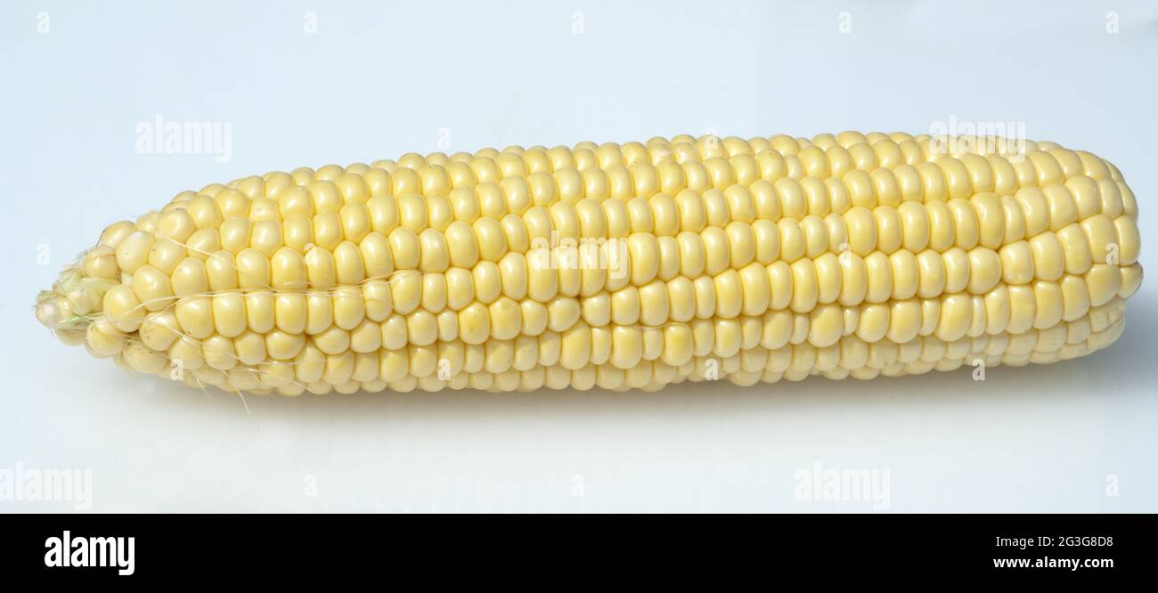 Mais Foto Stock