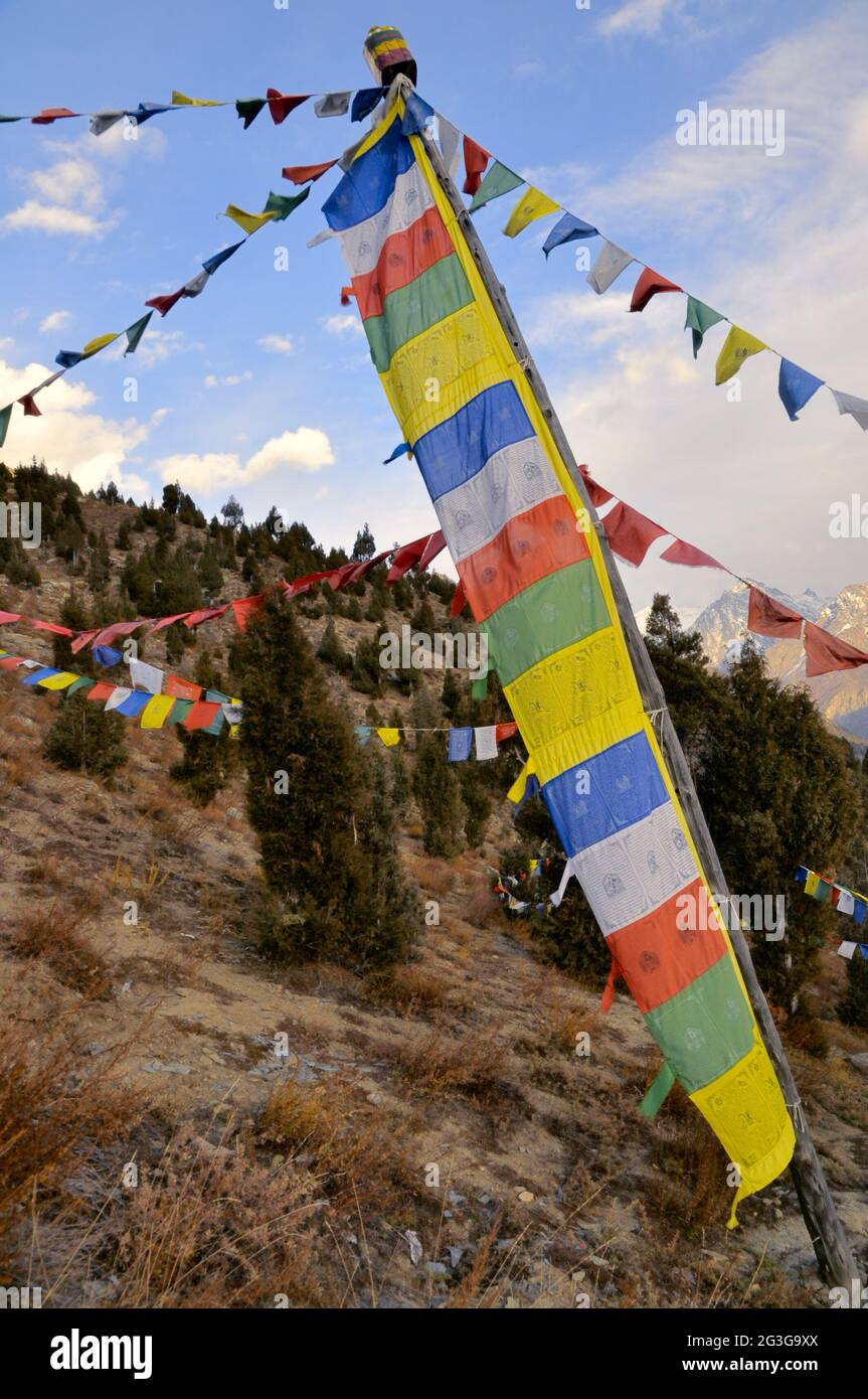 Bandiere che pendono sopra gli alberi, India Foto Stock