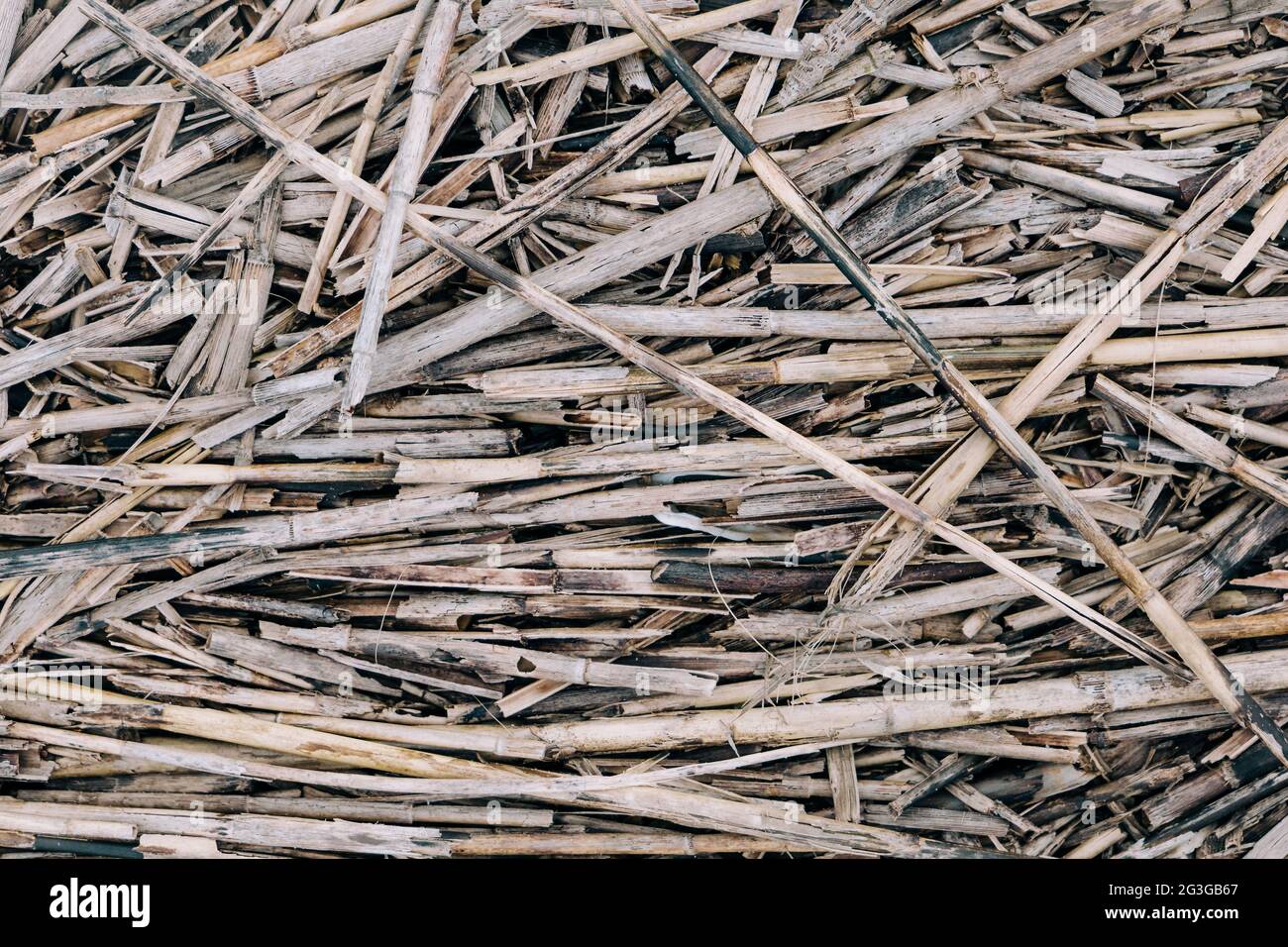 una vista ravvicinata di piccoli pezzi di bastoni di legno di driftwood scattezzati sul terreno Foto Stock