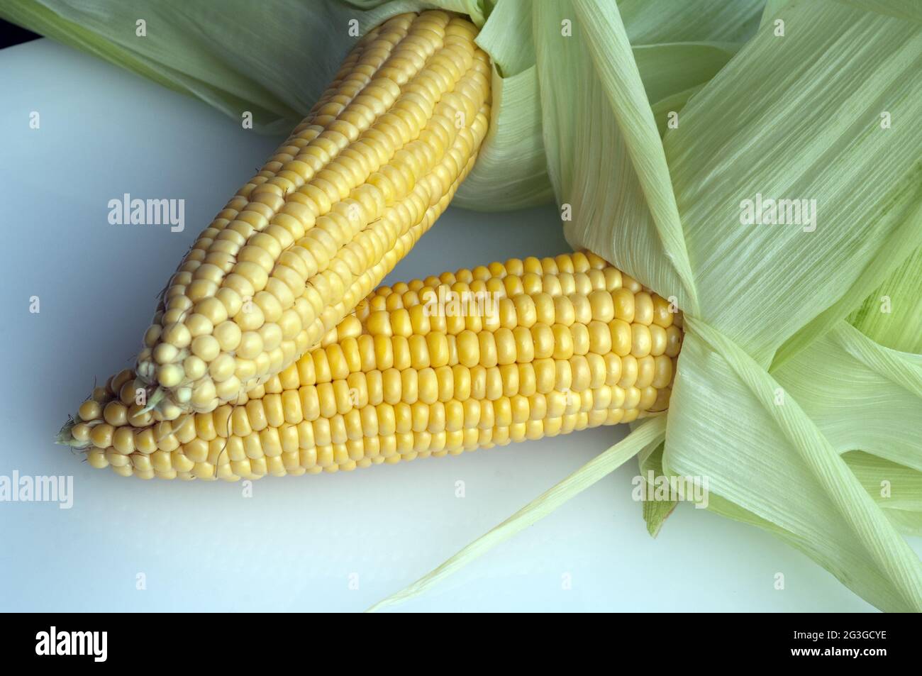 Mais Foto Stock