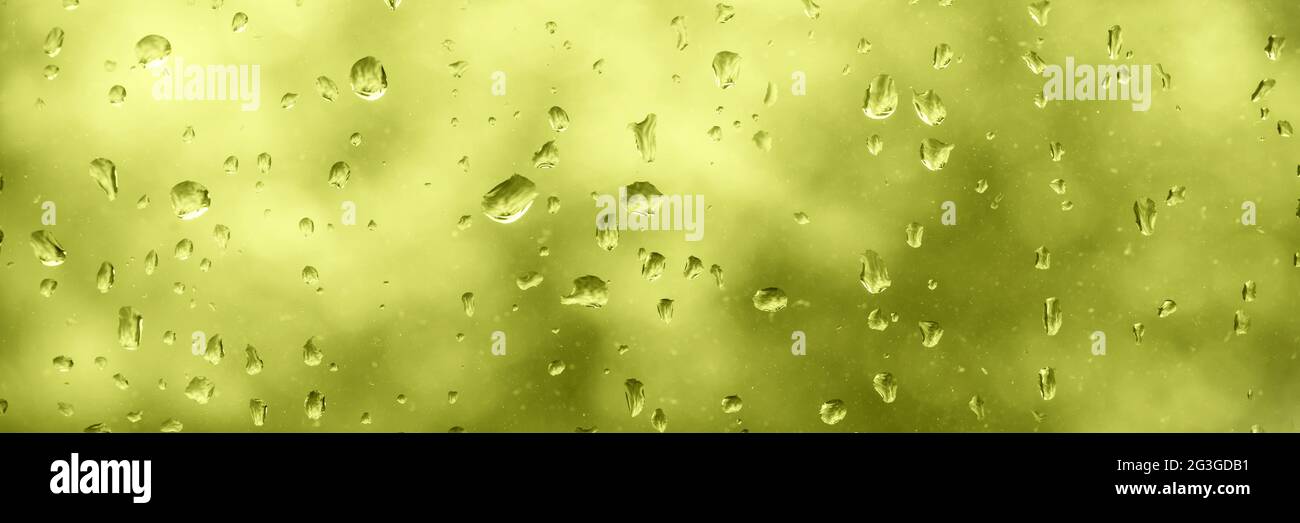 Gocce d'acqua su una finestra, sfondo verde panoramico piovoso Foto Stock