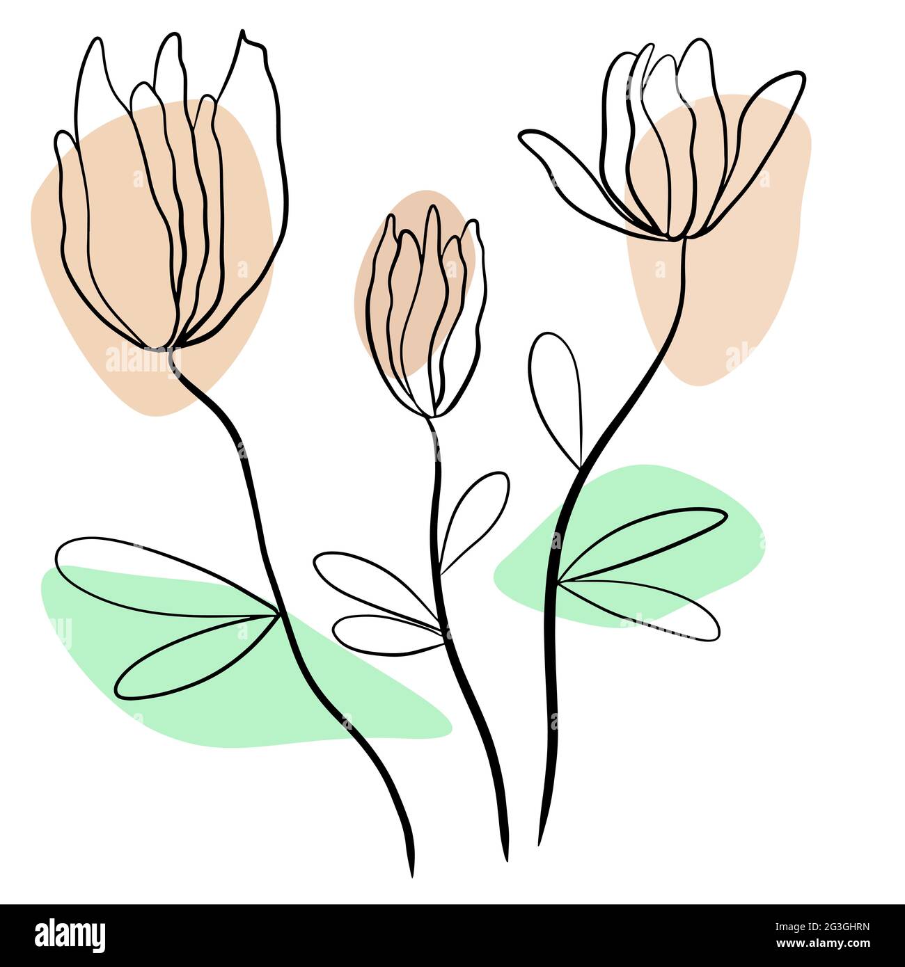 Una linea di fiori d'arte, vettore. Disegno di linea dei fiori. Disegno minimalista e moderno. Illustrazione Vettoriale