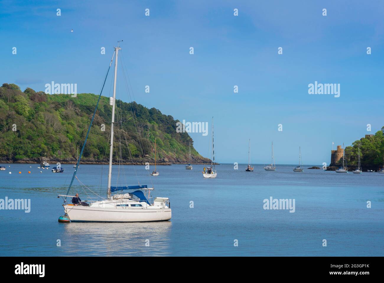 Devon paesaggio, vista in estate di yacht ormeggiati nel fiume Dart vicino a Castle Cove, Dartmouth, South Hams, Devon, Inghilterra, REGNO UNITO Foto Stock