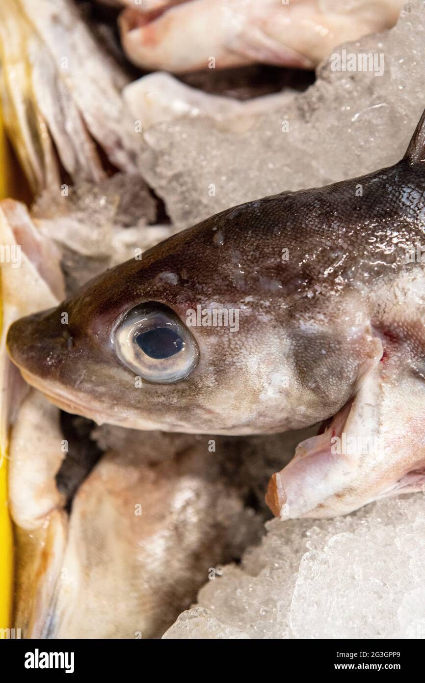 Industria della pesca del Regno Unito. Eglefino al mercato del pesce di Grimsby. Foto Stock