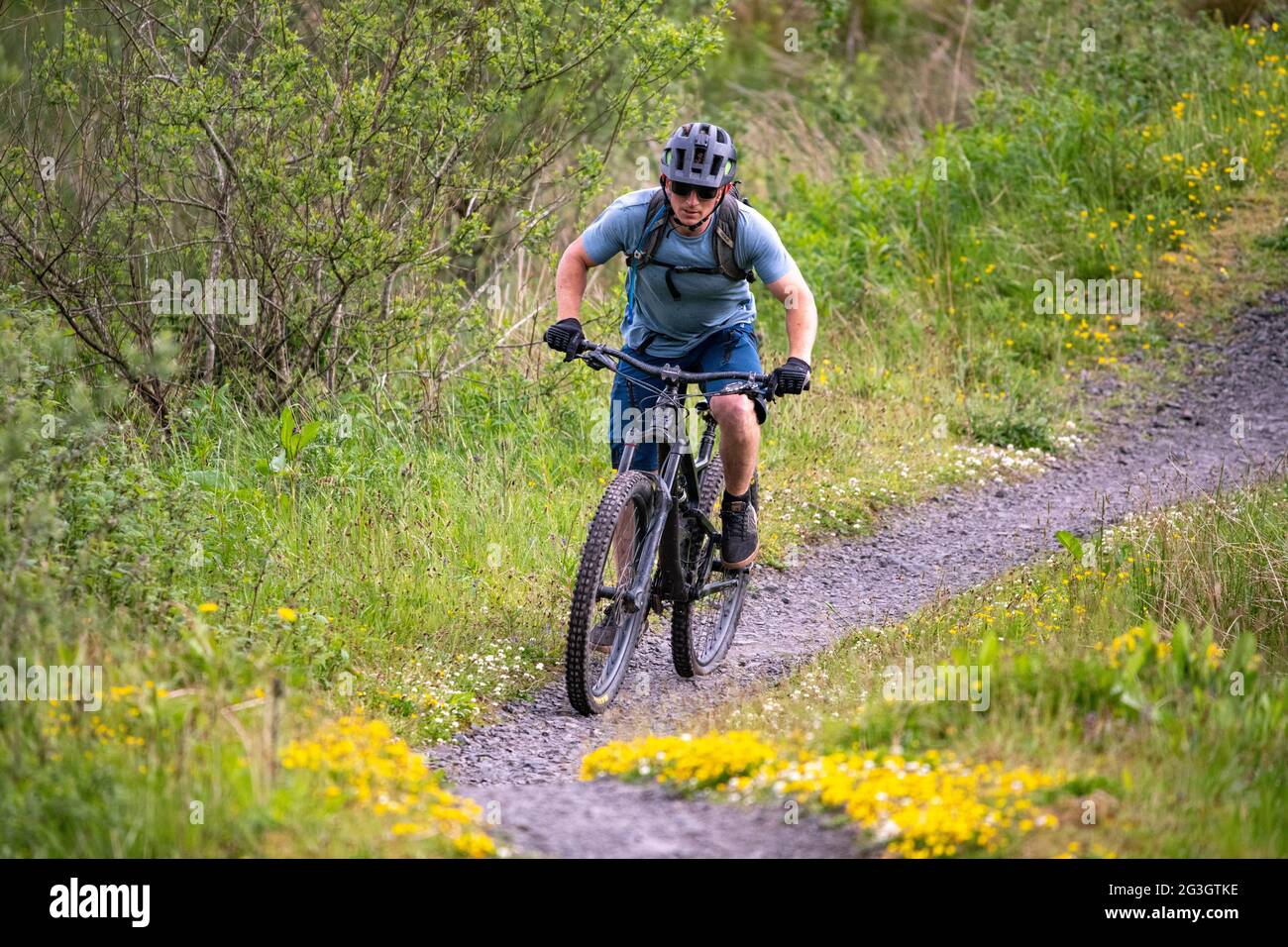 Carron Valley, Scozia, Regno Unito. 15 giugno 2021. NELLA FOTO: Un mountain bike visto in Carron Valley mountain bike sentieri. PIC Credit: Colin Fisher/Alamy Live News. Foto Stock
